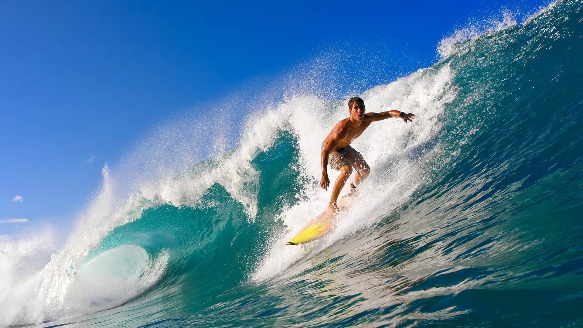 开云·体育全站登录地址-“2025世界运动会：高新体育中心健力赛事精彩纷呈，选手激情四溢”